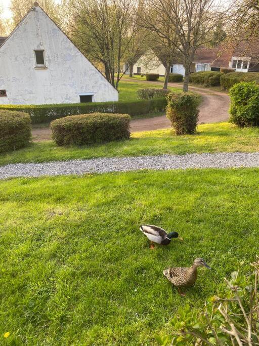 Le Nid Du Cygne Appartement Houlle Buitenkant foto